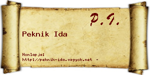 Peknik Ida névjegykártya